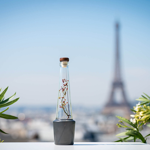Bouteille design 2018 primés au Verallia design awards